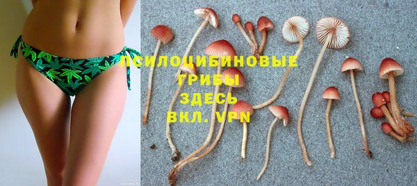марки nbome Белокуриха
