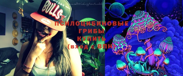 марки nbome Белокуриха