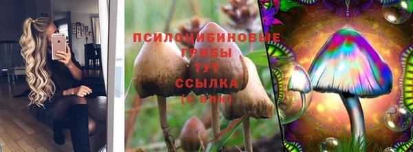 марки nbome Белокуриха