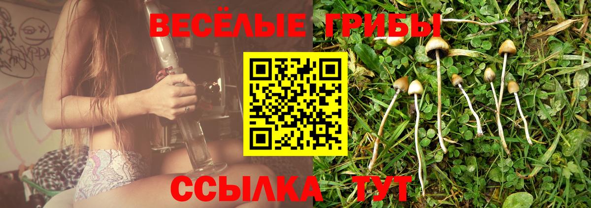 Видное  Галлюциногенные грибы прущие грибы  Вход с VPN 