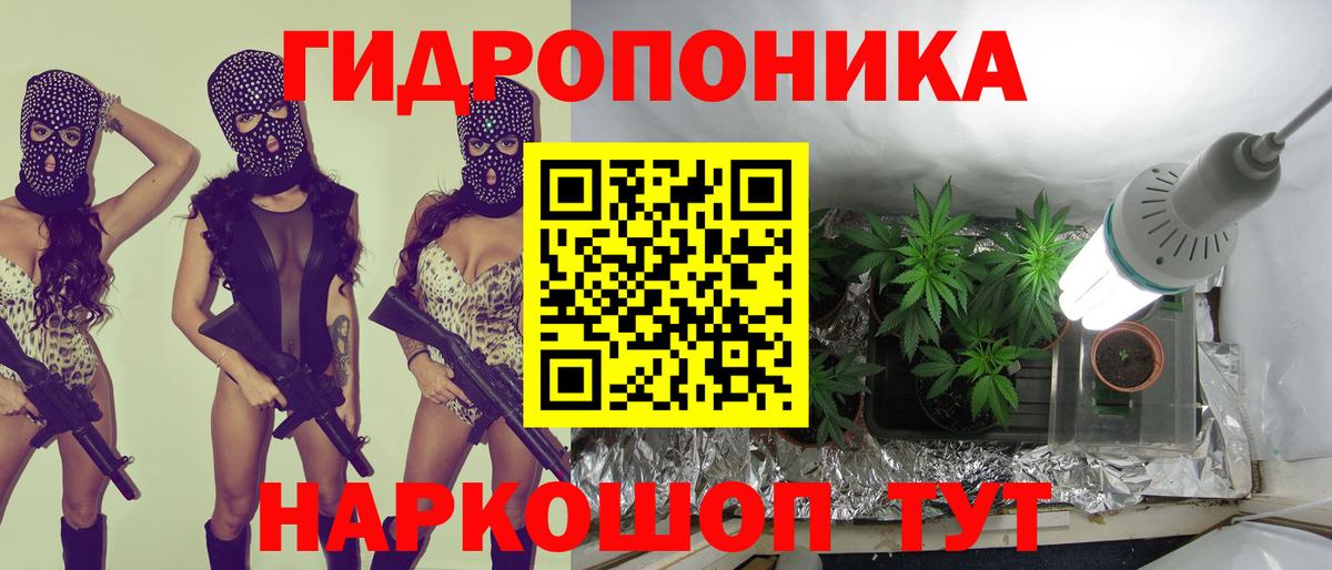 Бошки марихуана AK-47  Конопля OG Kush  Видное  МАРИХУАНА AK-47  Каннабис SATIVA & INDICA  Вход с VPN 